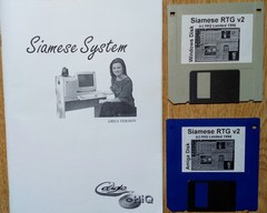 siamese_systems_06