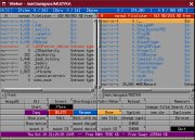 s_worker.jpg (9053 bytes)